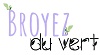 Compte-rendu de l’opération Broyez du Vert